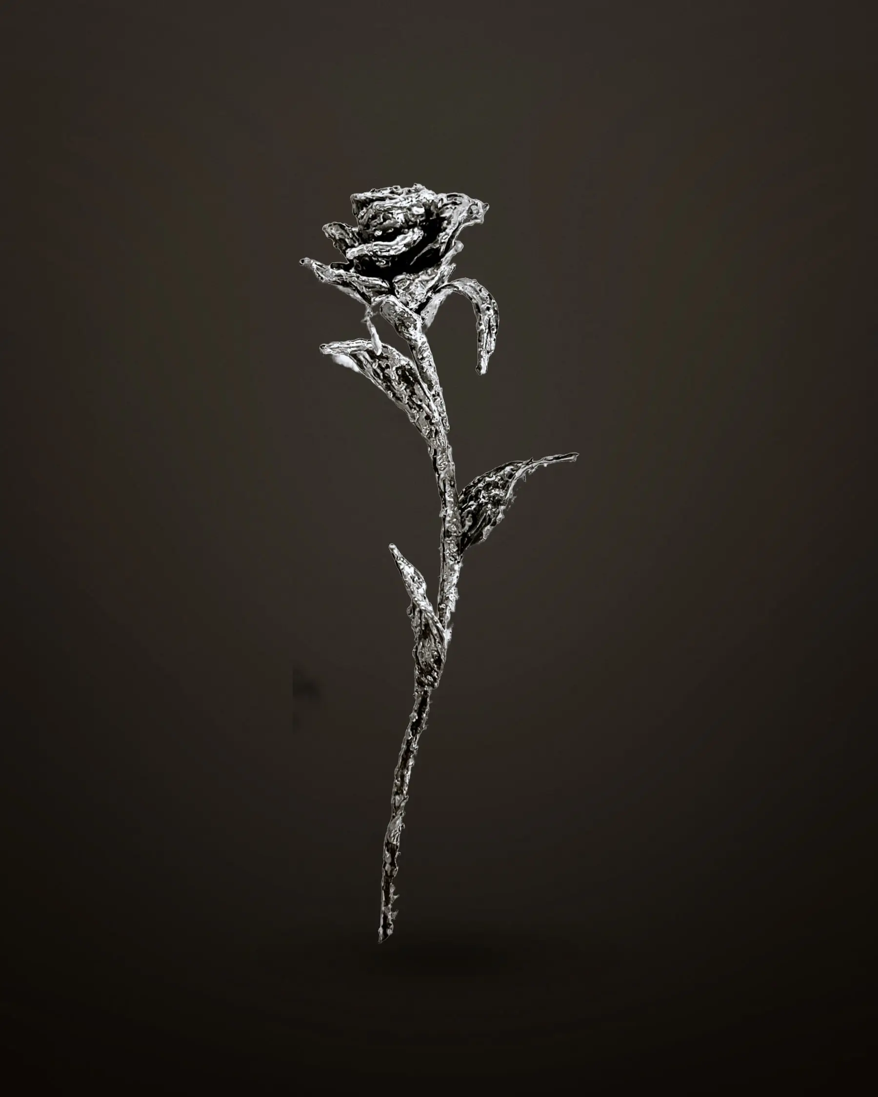 Rosa a Stelo Lungo